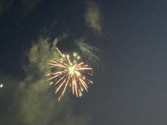 IMG_9977.jpg