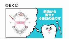 おくば.jpg