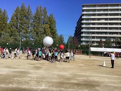 IMG_1412.jpg