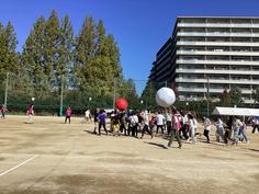 IMG_1403.jpg