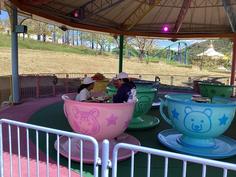 IMG_1164.jpg