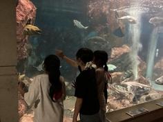 IMG_1079.jpg