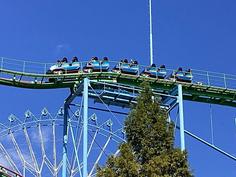 IMG_1143.jpg