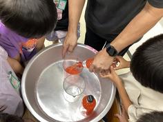 IMG_1255.jpg