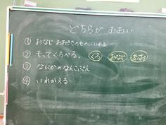 IMG_1258.jpg
