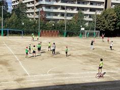 IMG_1310.jpg