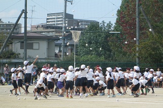 1nenn-tamaire2.jpg