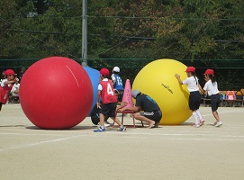 2-oodama2.jpg