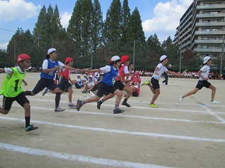 6-hasiri.jpg
