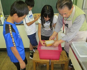 IMG_1019.jpg