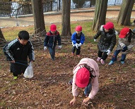 IMG_1442.jpg