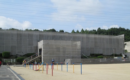IMG_2204.jpg