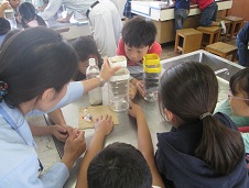 IMG_3961.jpg