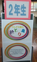 IMG_4354.jpg