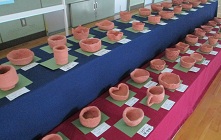 IMG_4383.jpg