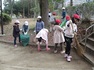 IMG_4667.jpg
