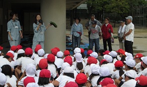 hana1.jpg