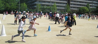 koinobori6.jpg