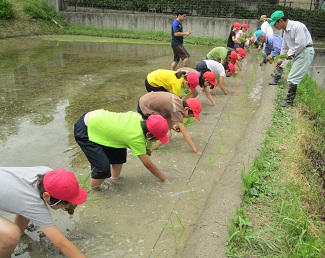 taue１.jpg