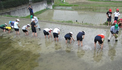 taue２.jpg