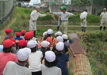 taue1.jpg