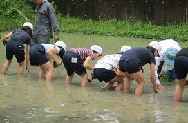 taue2.jpg