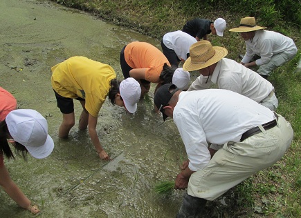 taue3.jpg