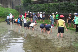 taue44.jpg