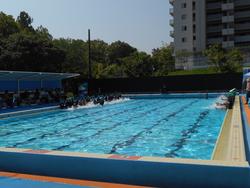 DSCN6293.JPG
