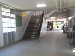 DSCN2921.JPG