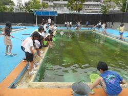 DSCN3368.JPG