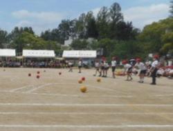 DSCN3817.JPG