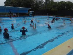 DSCN4217.JPG