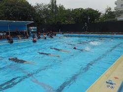 DSCN4226.JPG