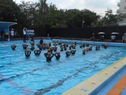 DSCN4508.JPG