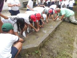 DSCN4574.JPG