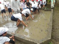 DSCN4578.JPG