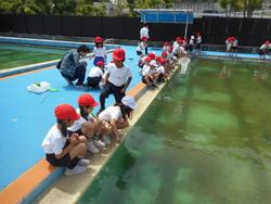 DSCN4629.JPG