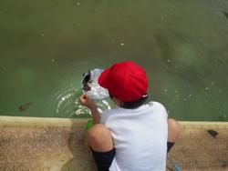 DSCN4638.JPG