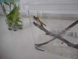 DSCN4725.JPG