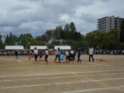 DSCN5168.JPG