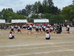 DSCN5190.JPG