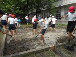DSCN5531.JPG