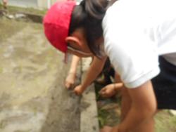 DSCN6181.JPG
