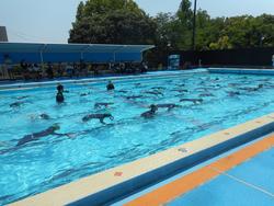 DSCN6312.JPG