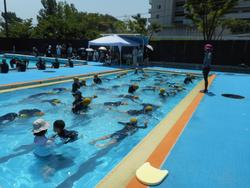 DSCN6320.JPG