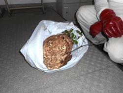 DSCN7473.JPG