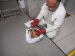 DSCN7475.JPG