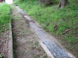IMG_0205[1].JPG