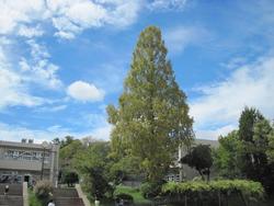 IMG_0368.JPG